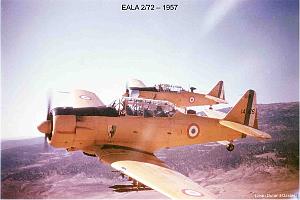 180- ARMEE DE L'AIR EN ALGERIE 1945-1962-28 (61)
